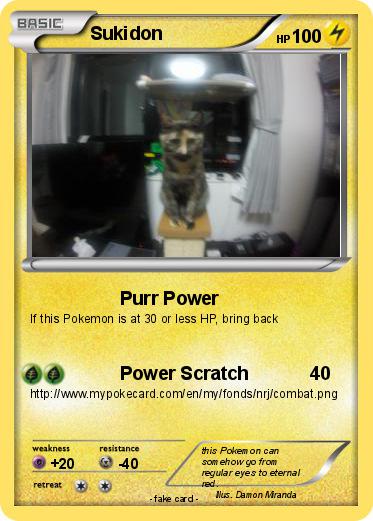 Pokemon Sukidon