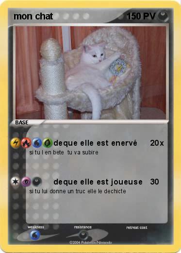 Pokemon mon chat