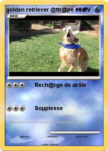 Pokemon golden retriever @ttr@pe oeuf