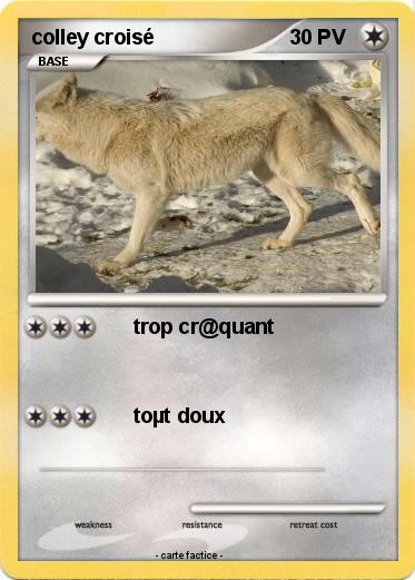 Pokemon colley croisé