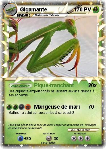 Pokemon Gigamante