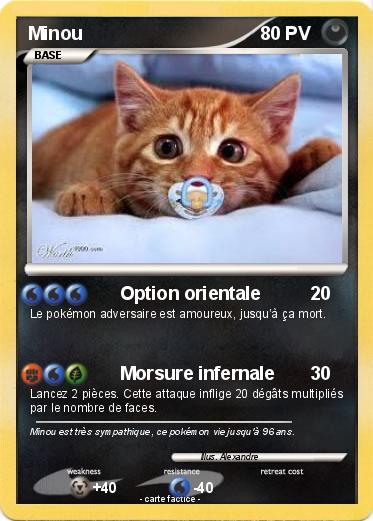 Pokemon Minou