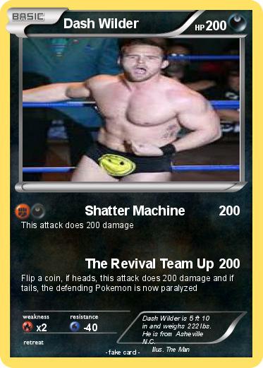 Pokemon Dash Wilder