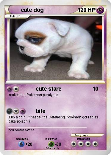 Pokemon cute dog
