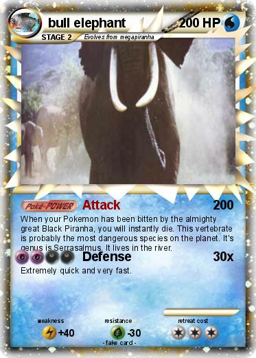 Pokemon bull elephant