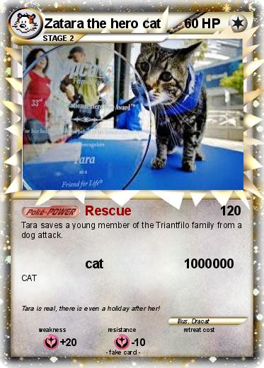 Pokemon Zatara the hero cat