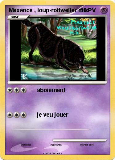 Pokemon Maxence , loup-rottweiler mix