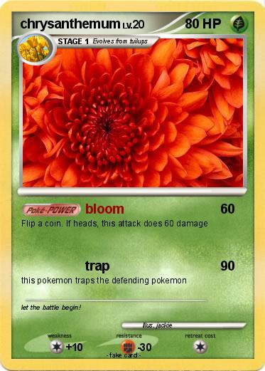 Pokemon chrysanthemum