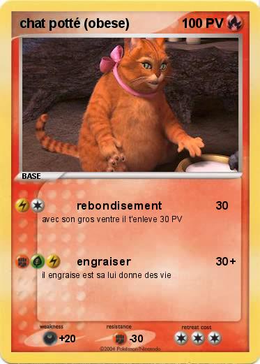 Pokemon chat potté (obese)