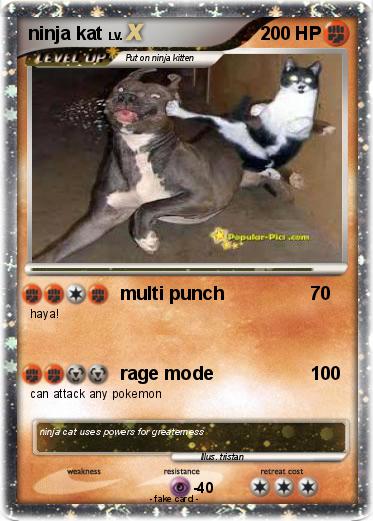 Pokemon ninja kat