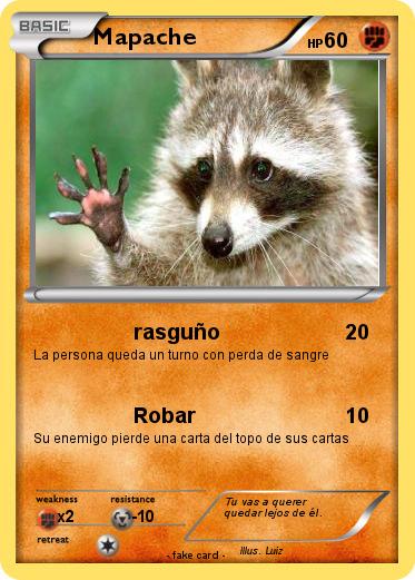 Pokemon Mapache