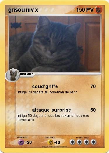 Pokemon grisou niv x
