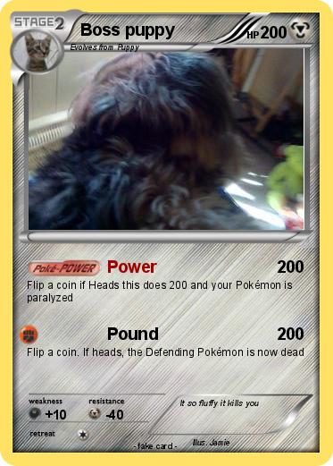 Pokemon Boss puppy