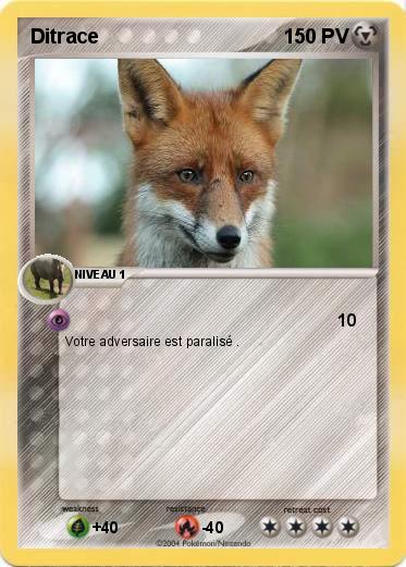 Pokemon Ditrace