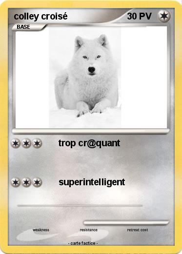 Pokemon colley croisé