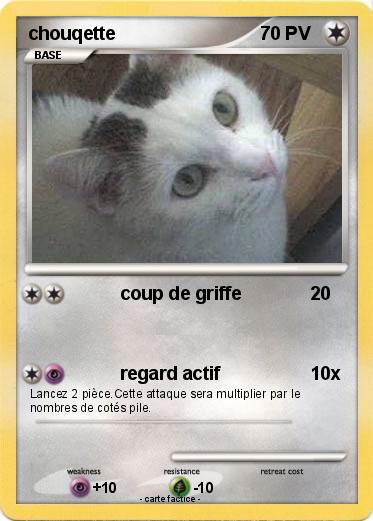 Pokemon chouqette