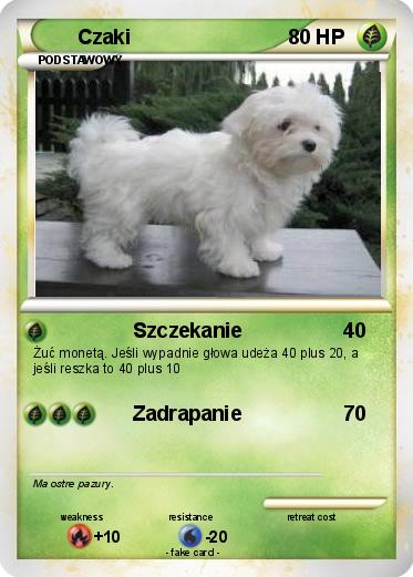 Pokemon Czaki