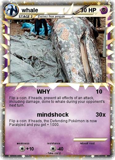 Pokemon whale