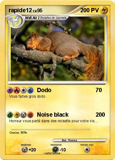 Pokemon rapide12