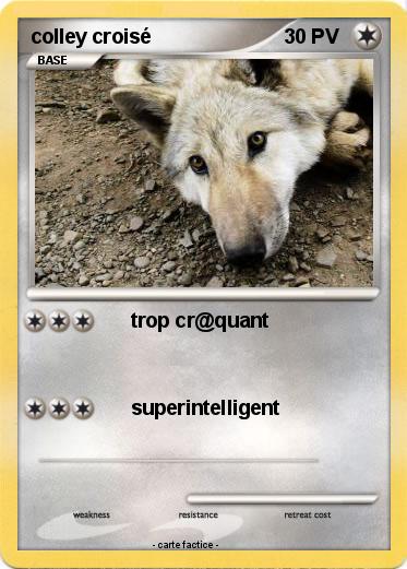 Pokemon colley croisé