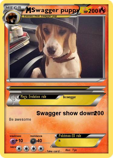 Pokemon Swagger puppy