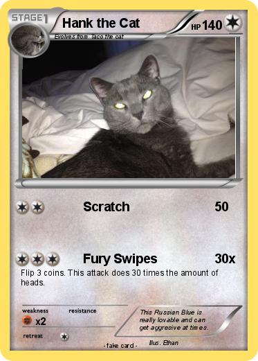 Pokemon Hank the Cat