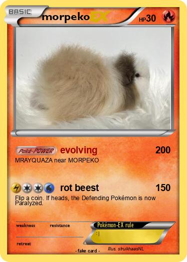 Pokemon morpeko