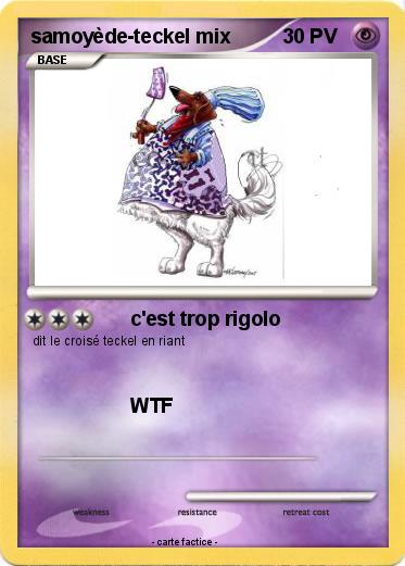 Pokemon samoyède-teckel mix