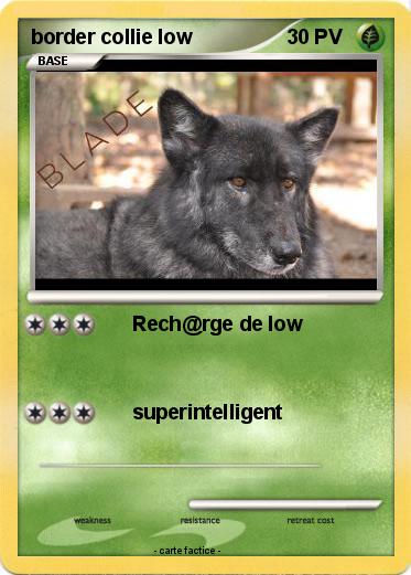 Pokemon border collie low