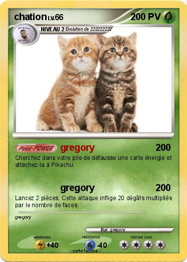 Pokemon chation