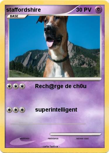 Pokemon staffordshire