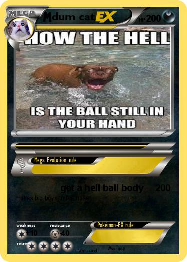 Pokemon dum cat