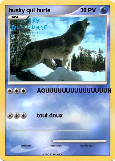 Pokemon husky qui hurle