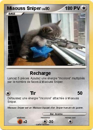 Pokemon Miaouss Sniper