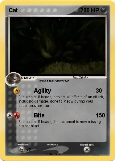 Pokemon Cat