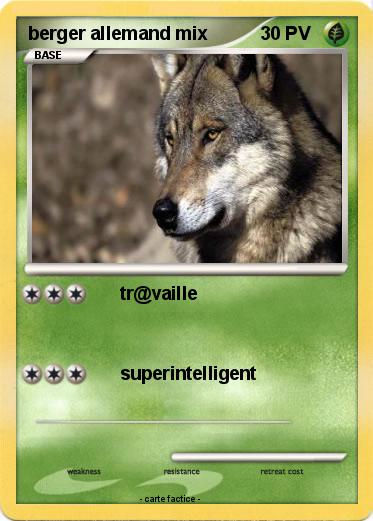 Pokemon berger allemand mix