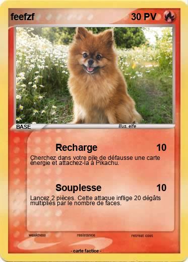 Pokemon feefzf