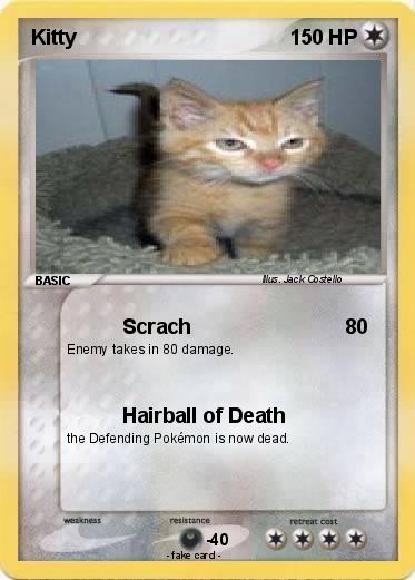 Pokemon Kitty