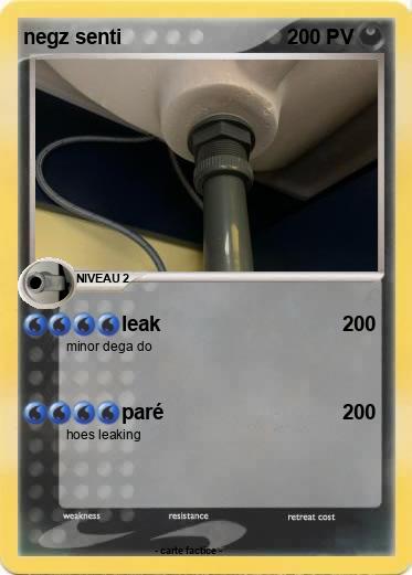 Pokemon negz senti