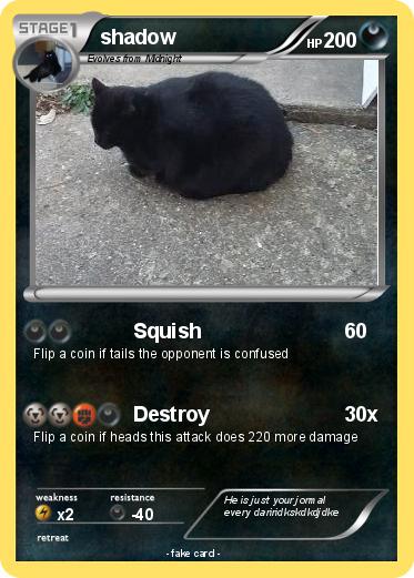 Pokemon shadow