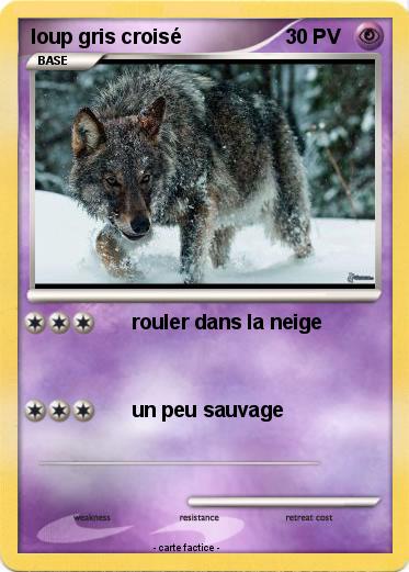 Pokemon loup gris croisé
