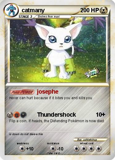 Pokemon catmany