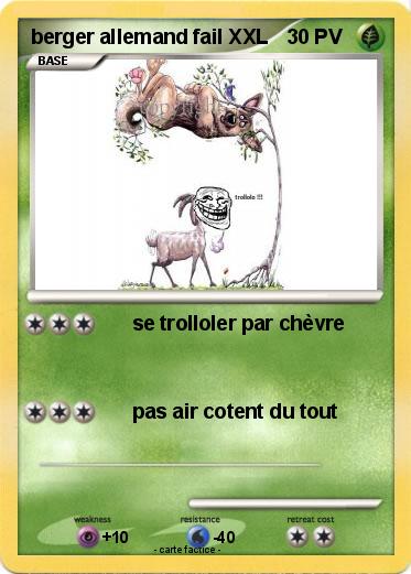 Pokemon berger allemand fail XXL