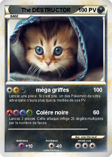 Pokemon The DESTRUCTOR