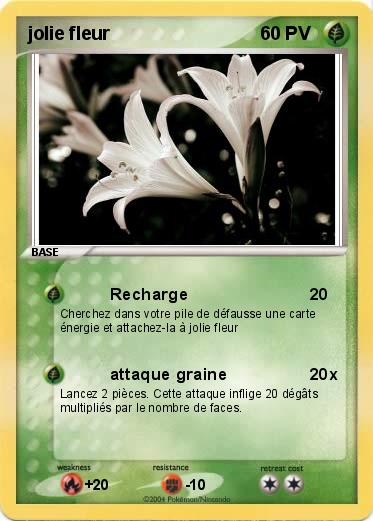 Pokemon jolie fleur