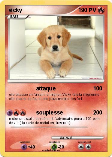 Pokemon vicky