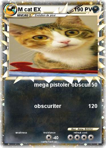 Pokemon M cat EX