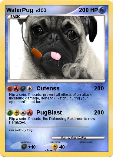 Pokemon WaterPug
