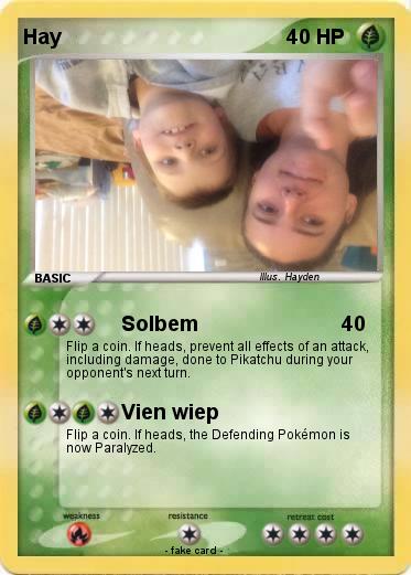 Pokemon Hay