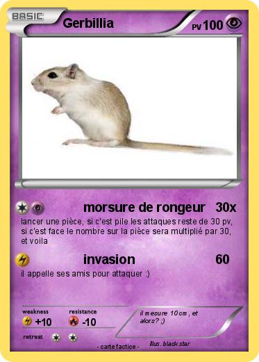 Pokemon Gerbillia